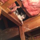 That feeling that your being watched. 