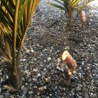 12 volt garden copper spot light 