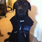 Employee of the month 