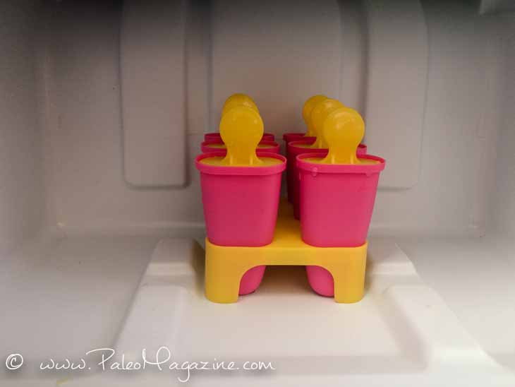 Kiwi Melon Ice Pops Recipe Paleo AIP