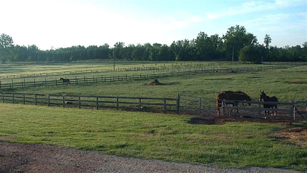 The Stables of Shiloh Farms
