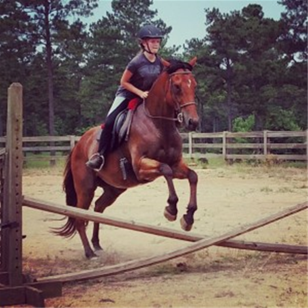 The Stables of Shiloh Farms