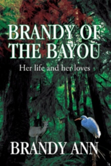 Brandy of the Bayou