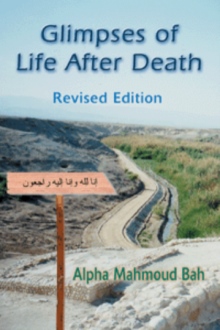 Glimpses of Life After Death