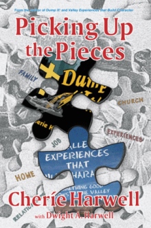 Picking up The Pieces