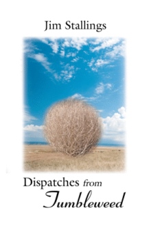 Dispatches from Tumbleweed