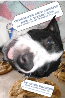 CHOCOLATE CHIP COOKIES AND A WIRED DOG