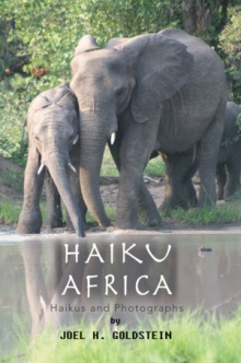 HAIKU AFRICA