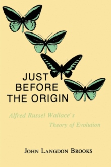 Just Before the Origin