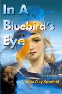 In a Bluebird's Eye