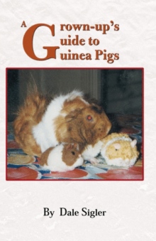 A Grown-up's Guide to Guinea Pigs