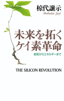 The Silicon Revolution