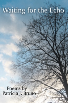 Waiting For The Echo