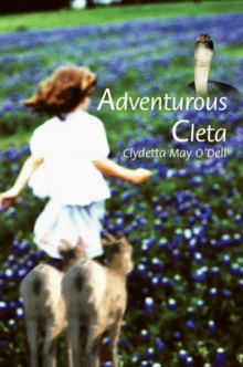Adventurous Cleta