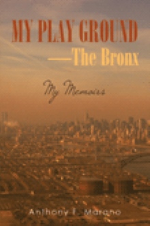 My Play Ground—The Bronx