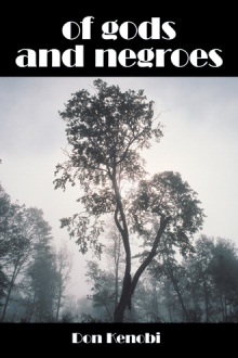of gods and negroes