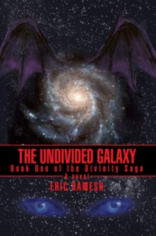 The Undivided Galaxy