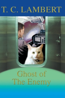 Ghost of The Enemy
