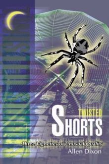 Twisted Shorts