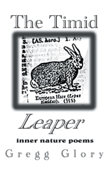 The Timid Leaper