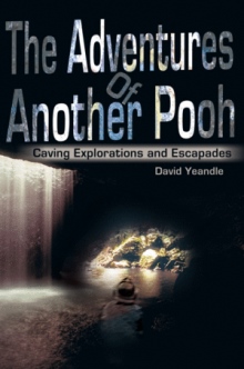 The Adventures Of Another Pooh