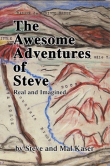 The Awesome Adventures of Steve