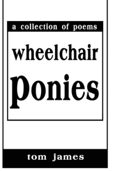 Wheelchair Ponies