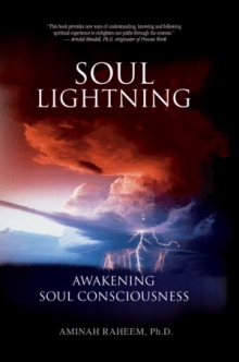 SOUL LIGHTNING