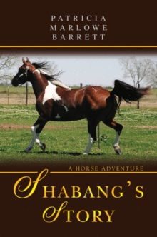 Shabang's Story