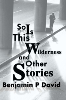 So Is This Wilderness and Other Stories