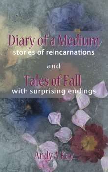 diary of a medium- stories of reincarnations