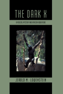 The Dark X