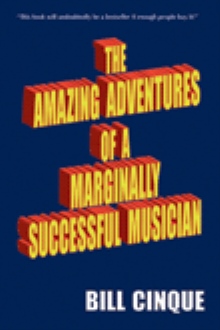 THE AMAZING ADVENTURES OF A MARGINALLY SUCCESSFUL MUSICIAN