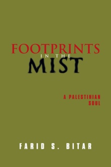 Footprints in the Mist