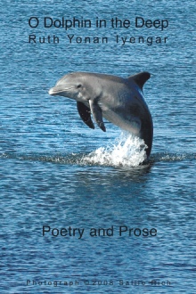 O Dolphin in the Deep