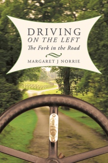 Driving on the Left