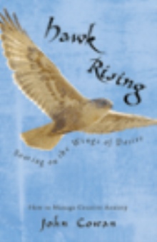 Hawk Rising