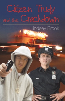 Citizen Trudy and the Crackdown