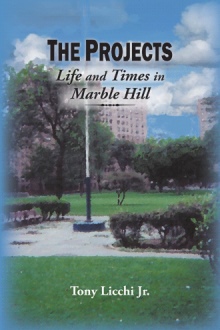 The Projects: Life and Times in Marble Hill