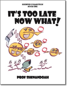 It's Too Late Now What!