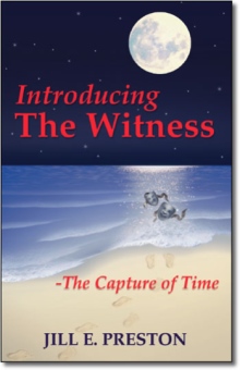 Introducing the Witness
