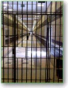 The Discipleship of a Christian Journey