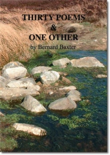 Thirty Poems & One Other