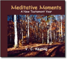 Meditative Moments - A New Testament Year
