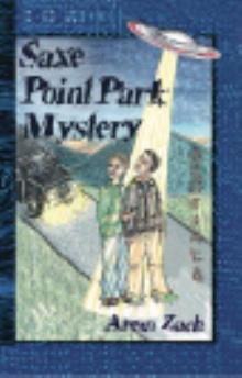 The Saxe Point Park Mystery