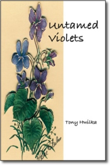 Untamed Violets