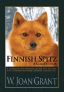 Finnish Spitz