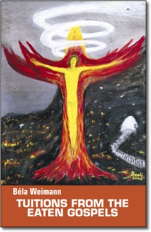 Tuitions From The Eaten Gospels