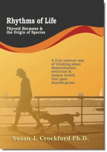 Rhythms of Life Rhythms of Life