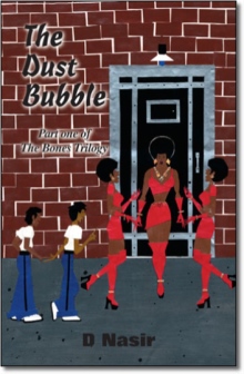The Dust Bubble